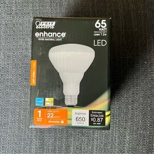 Feit LED enhance vivid natural light 2700k